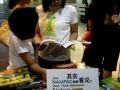 IMG 1994