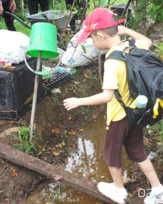再见草莓,投向太阳的怀抱!