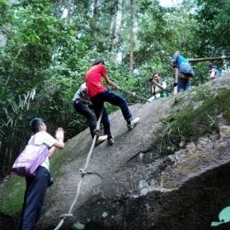 DSC01153  800x600   640x480  DSC01153  800x600   640x480