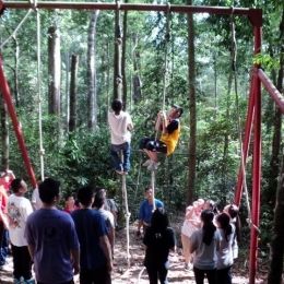 DSC01176  800x600   640x480  DSC01176  800x600   640x480