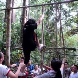 DSC01187  800x600   640x480  DSC01187  800x600   640x480