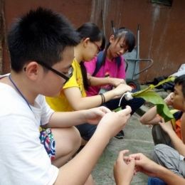 DSC01395  800x600   640x480  DSC01395  800x600   640x480