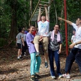 DSC01561  800x600   640x480  DSC01561  800x600   640x480