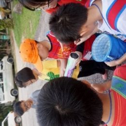 DSC01801  533x800   426x640  DSC01801  533x800   426x640