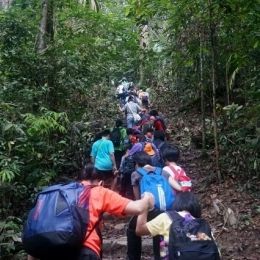 DSC01834  800x533   640x426  DSC01834  800x533   640x426