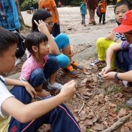 DSC01876  800x533   640x426  DSC01876  800x533   640x426