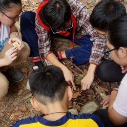 DSC01881  800x533   640x426  DSC01881  800x533   640x426