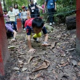 DSC01905  800x533   640x426  DSC01905  800x533   640x426