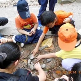 DSCN1256  800x600   640x480  DSCN1256  800x600   640x480