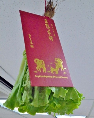 瑞狮新年团拜
