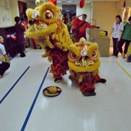 47 cny azon 47 cny azon