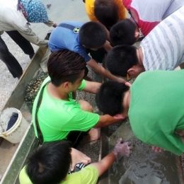 0033  360x640  0033  360x640