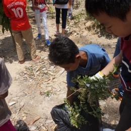 DSC01444  600x399  DSC01444  600x399