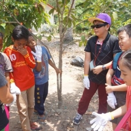 DSC01446  600x399  DSC01446  600x399