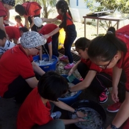 rumah victory 2016 67