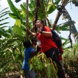 DSC01478  399x600  DSC01478  399x600