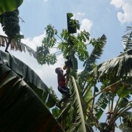 DSC01482  600x399  DSC01482  600x399