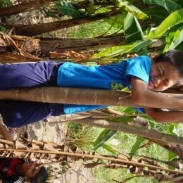 DSC01499  399x600  DSC01499  399x600