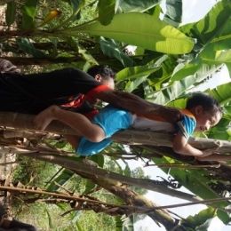 DSC01514  399x600  DSC01514  399x600