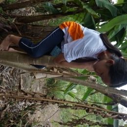 DSC01531  399x600  DSC01531  399x600