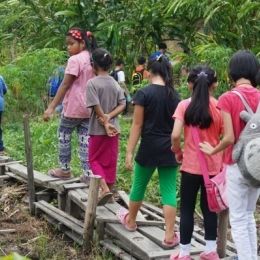 DSC01547  600x399  DSC01547  600x399