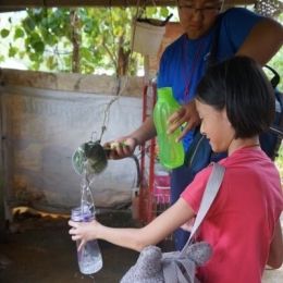 DSC01578  600x399  DSC01578  600x399