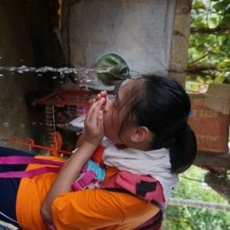 DSC01593  399x600  DSC01593  399x600