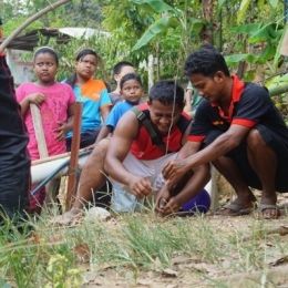 DSC01651  600x399  DSC01651  600x399