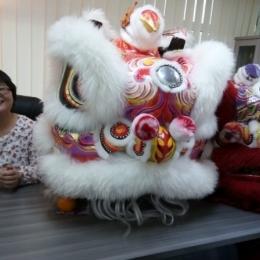 IMG 20170204 085850  640x480 