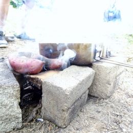 nature explorer 2017 dec 020504 nature explorer 2017 dec 020504