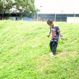 nature explorer 2017 dec 020517 nature explorer 2017 dec 020517