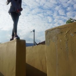 nature explorer 2017 dec 020701 nature explorer 2017 dec 020701