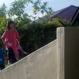 nature explorer 2017 dec 020706 nature explorer 2017 dec 020706