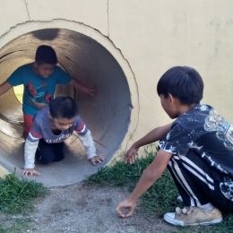 nature explorer 2017 dec 020721 nature explorer 2017 dec 020721