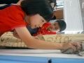 cleaning 5 cleaning 5