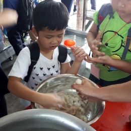 20180611 100316 20180611 100316