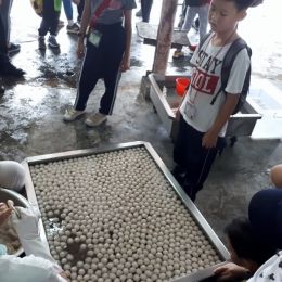 20180611 101435 20180611 101435