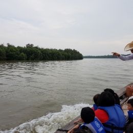 20180611 170953 20180611 170953