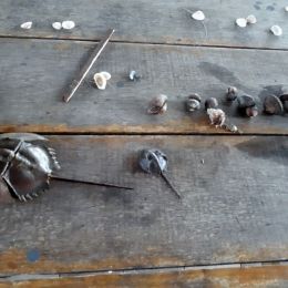 20180611 181632 20180611 181632