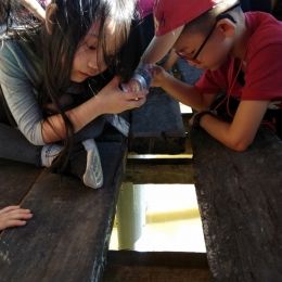 IMG 20180610 170548 IMG 20180610 170548