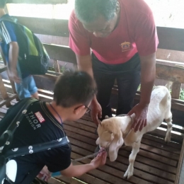 WhatsApp Image 2018 12 04 at 9.25.54 PM