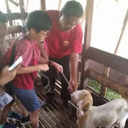 WhatsApp Image 2018 12 04 at 9.25.55 PM