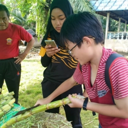 WhatsApp Image 2018 12 04 at 9.25.56 PM  1 