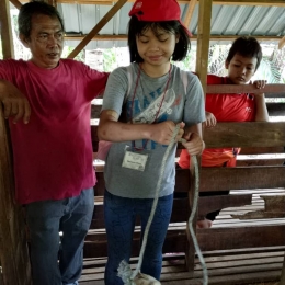 WhatsApp Image 2018 12 05 at 6.35.53 PM