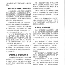 haizi 178