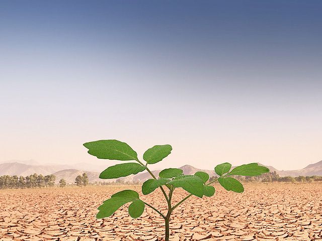 How Adaptability in Life Strengthen Vitality